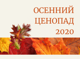 Осенний ценопад 2020