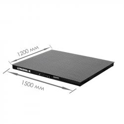 Весы платформенные МАССА-К 4D-PМ-15/12-3000-RL электронные в Казахстане_1