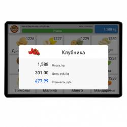 Весы МАССА-К MK-32.2-SL(10") электронные в Казахстане_4