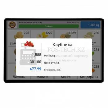 весы масса-к mk-32.2-sl(10&quot;) электронные в казахстане